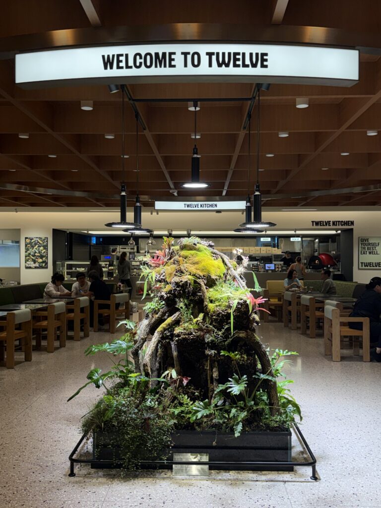 TWELVE Korean wellness space entrance in House of Shinsegae